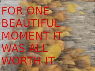 Blurry image of leaves with "for one beautiful moment it was all worth it" in red text and all caps